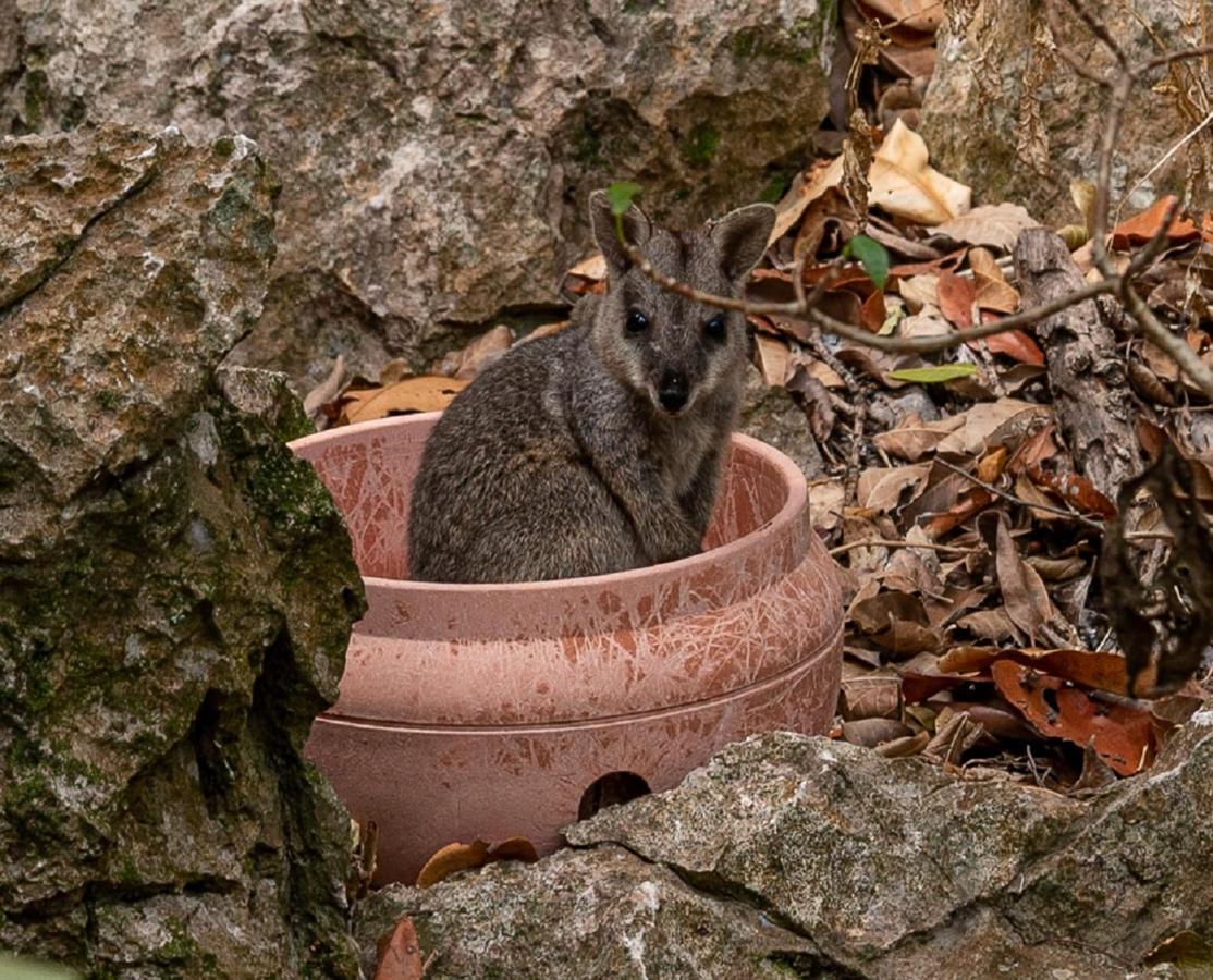 Hotel Capricorn Caves Rockhampton Zewnętrze zdjęcie